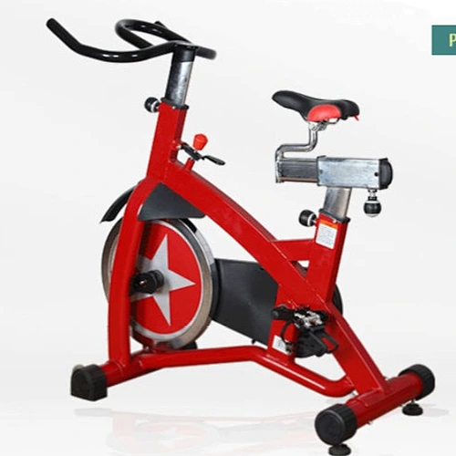 commercial spining bike/schwinn ic pro spin bike