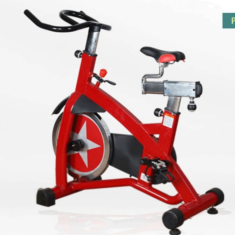 commercial spining bike/schwinn ic pro spin bike