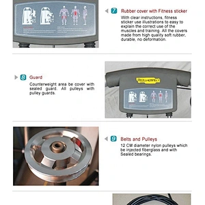 Factory sales gym equipment fitness strength machine delts machine