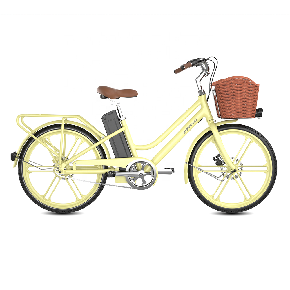 Retro lady ebike electric bike in electric bicycle 250W 24''