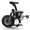 carbon fiber electric bike