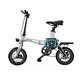 folding electric bike