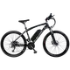 ebike