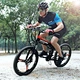 electric foldable mountain bicycle