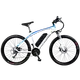 ebike