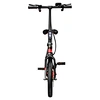 carbon fiber electric bike