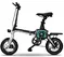 folding electric bike