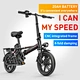 Folding ebike Aluminum alloy electric bike