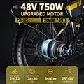 electric bicycle