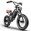 1000W ebike