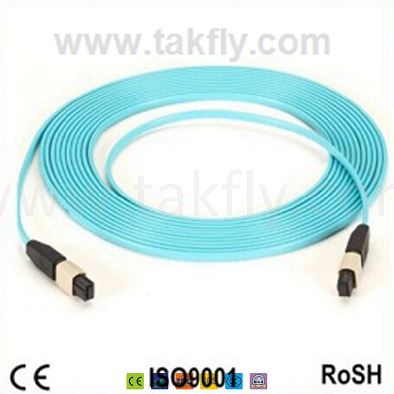 12 Core LC/Sc/St/FC Connector LSZH Round MPO/MTP Fiber Optic OS2/Om2/Om3 MPO/MTP Patch Cord