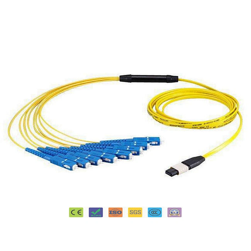 12 Core LC/Sc/St/FC Connector LSZH Round MPO/MTP Fiber Optic OS2/Om2/Om3 MPO/MTP Patch Cord