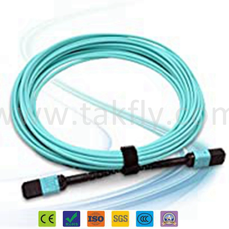 50/125 Multimode OM4 MPO Fiber Trunk Cable, 12 Fiber, Female, Type B, LSZH