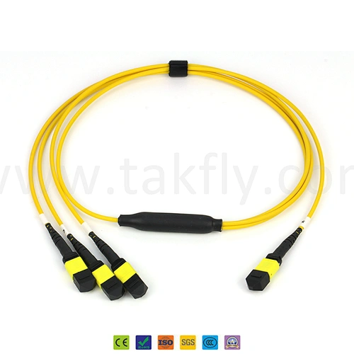 12 Core LC/Sc/St/FC Connector LSZH Round MPO/MTP Fiber Optic OS2/Om2/Om3 MPO/MTP Patch Cord