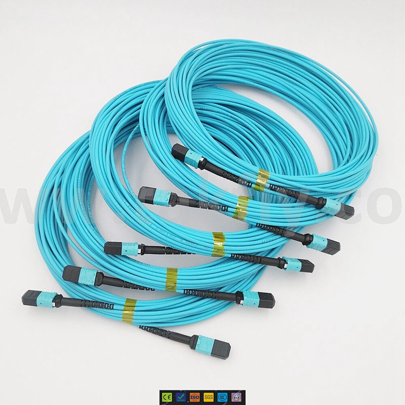 12 Core LC/SC/ST/FC Connector LSZH Round MPO/MTP Fiber Optic OS2/Om2/Om3 MPO/MTP Patch Cord