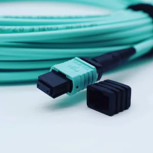 50/125 Multimode OM4 MPO Fiber Trunk Cable, 12 Fiber, Female, Type B, LSZH