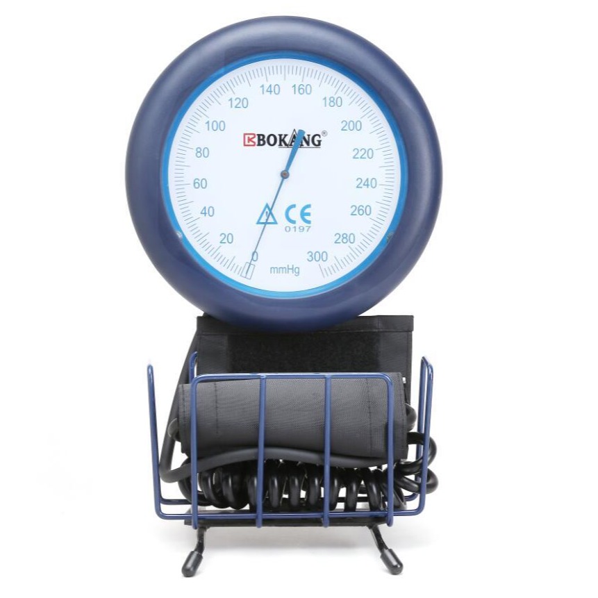 Wall-Mounted Blood Pressure Monitor