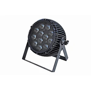 2019 Guangzhou IP65 Outdoor 15W*12PCS RGBW ZOOM PAR Lighting