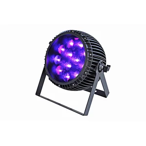 2019 Guangzhou IP65 Outdoor 15W*12PCS RGBW ZOOM PAR Lighting
