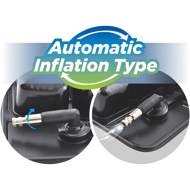 Auto inflated cushion