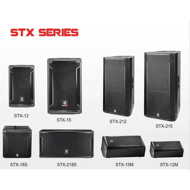 STX Series Wooden cabinet speaker