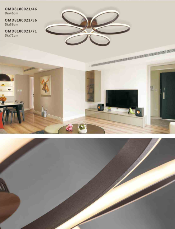 modern LED ceiling lamp