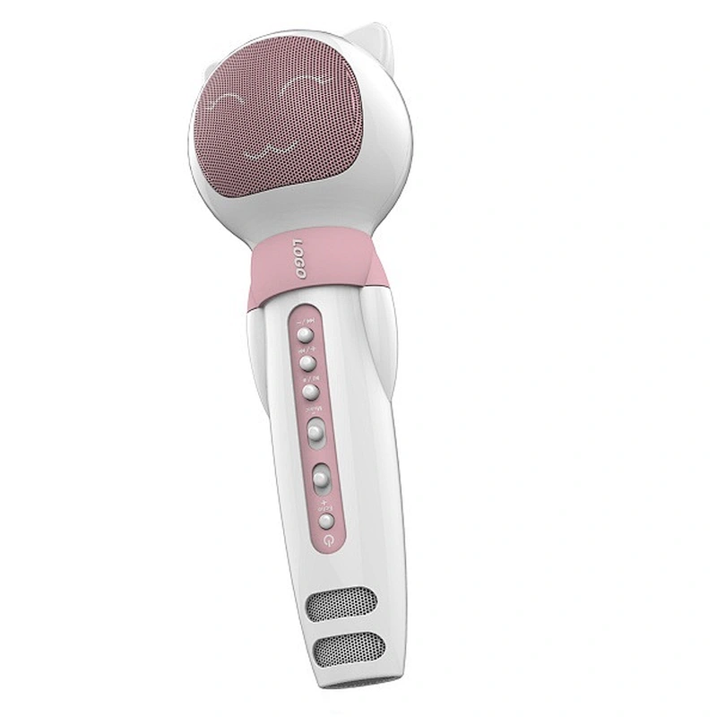 Karaoke microphone