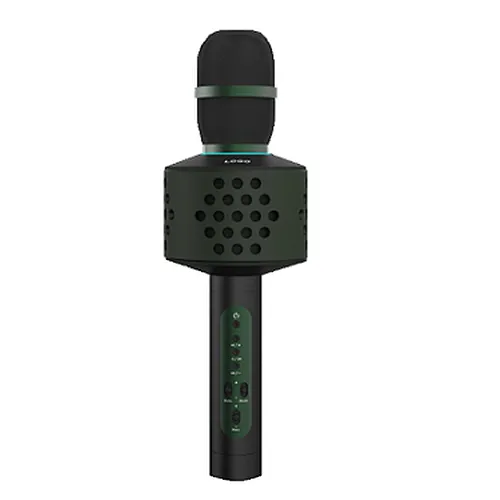 karaoke microphone