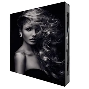 LEDFUL Fine Pitch LED display for Fixed and Rental with black SMD LED SCREEN