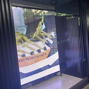 LEDFUL high transparency P2.9/6.5poster LED Display Transparent Screen for store windows
