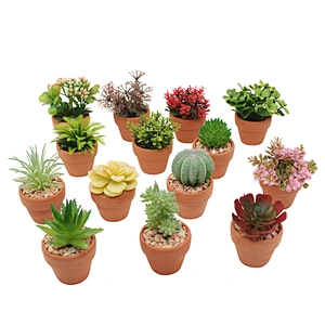 Mini Red Ceramic potted artificial succulent plant for decoration tropical plants with pot