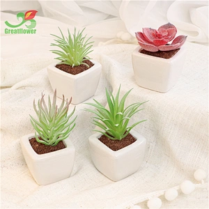 Succulent Potted Plants Faux Greenery Creative Ornaments for Garden Office Decor &Greenery