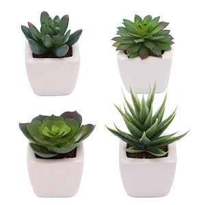 Set of 4 Mini Assorted Green Artificial Succulent Plants in Square White Ceramic Pots Faux Potted Plant for Home Bath Office Sh
