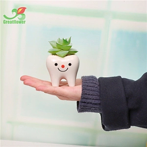 3 Pack Ceramic Tooth Pot Plant Artificial Flocking Succulent Cute Mini Gift