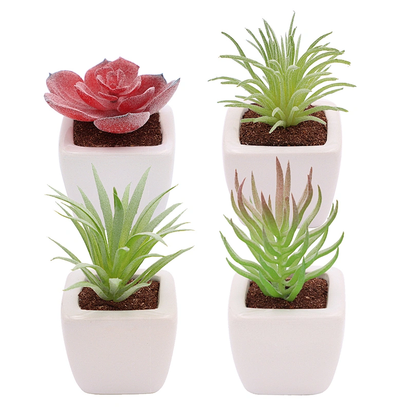 Succulent Potted Plants Faux Greenery Creative Ornaments for Garden Office Decor &Greenery