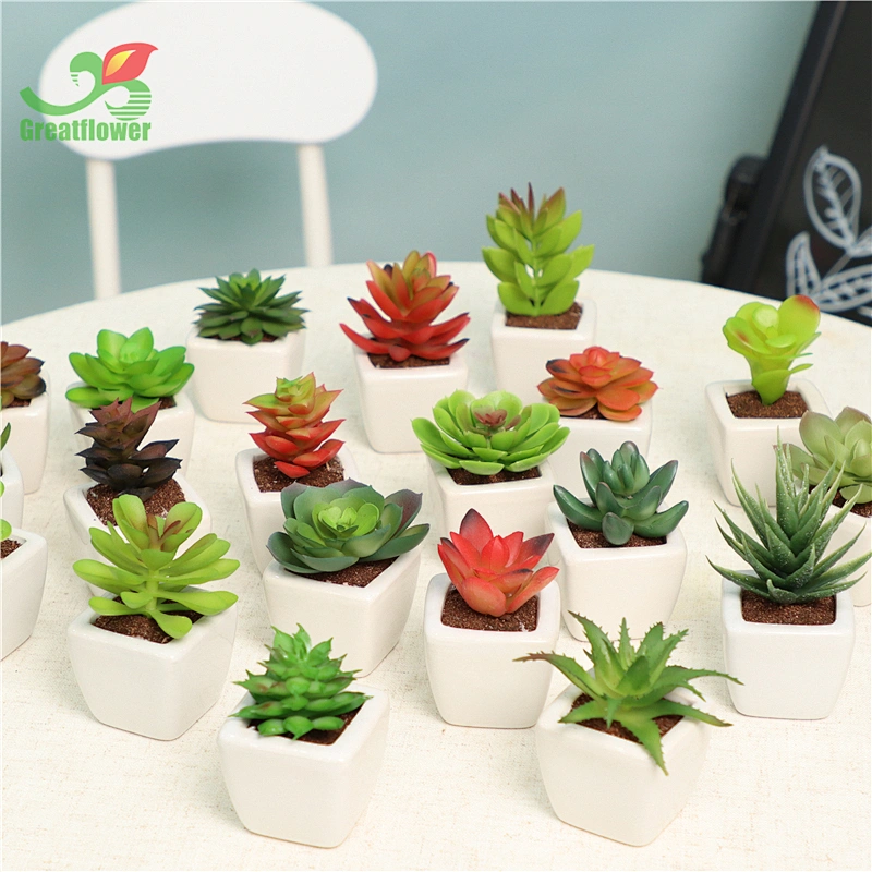 Set of 4 Mini Assorted Green Artificial Succulent Plants in Square White Ceramic Pots Faux Potted Plant for Home Bath Office Sh