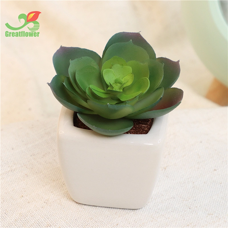 Set of 4 Mini Assorted Green Artificial Succulent Plants in Square White Ceramic Pots Faux Potted Plant for Home Bath Office Sh