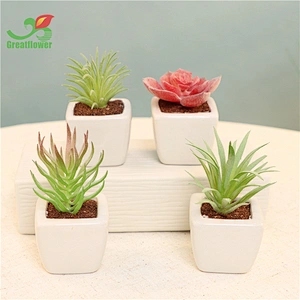 Succulent Potted Plants Faux Greenery Creative Ornaments for Garden Office Decor &Greenery