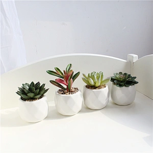 Indoor Custom Ceramic Pot Faux Succulents White Ceramic Pots for Desk, Office, Home Decoration