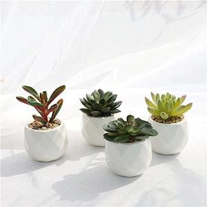 Indoor Custom Ceramic Pot Faux Succulents White Ceramic Pots for Desk, Office, Home Decoration