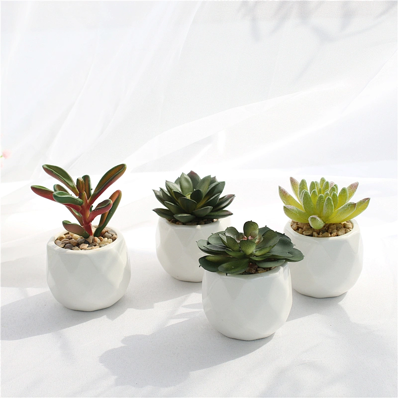 Indoor Custom Ceramic Pot Faux Succulents White Ceramic Pots for Desk, Office, Home Decoration