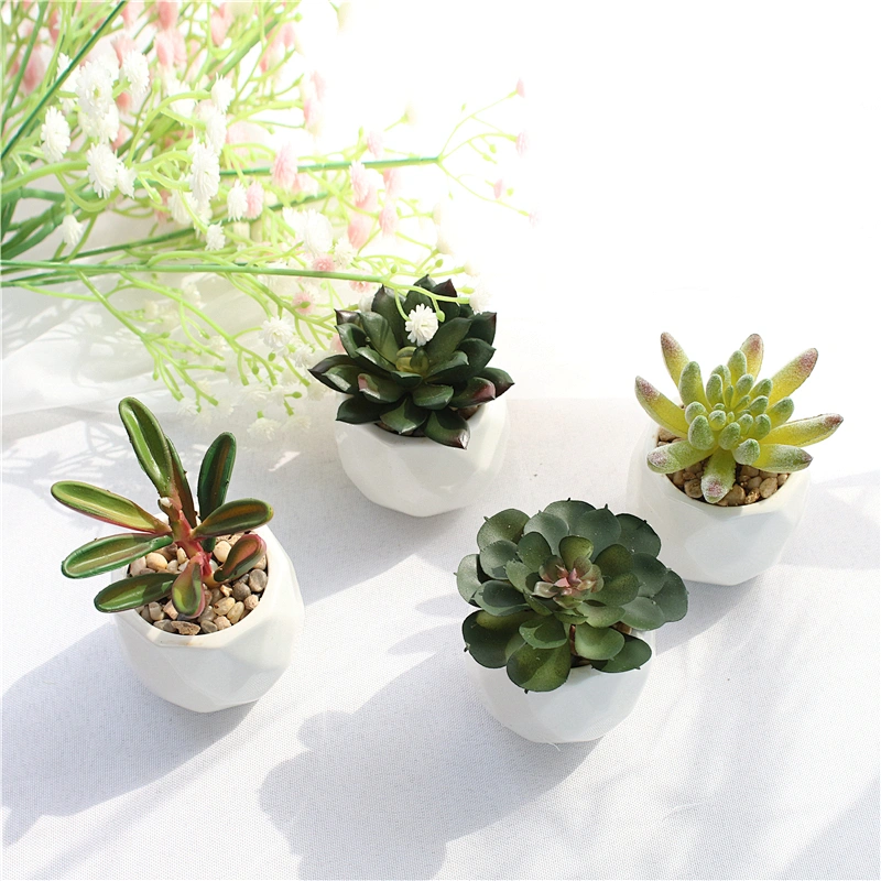 Indoor Custom Ceramic Pot Faux Succulents White Ceramic Pots for Desk, Office, Home Decoration