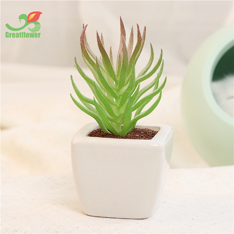 Succulent Potted Plants Faux Greenery Creative Ornaments for Garden Office Decor &Greenery