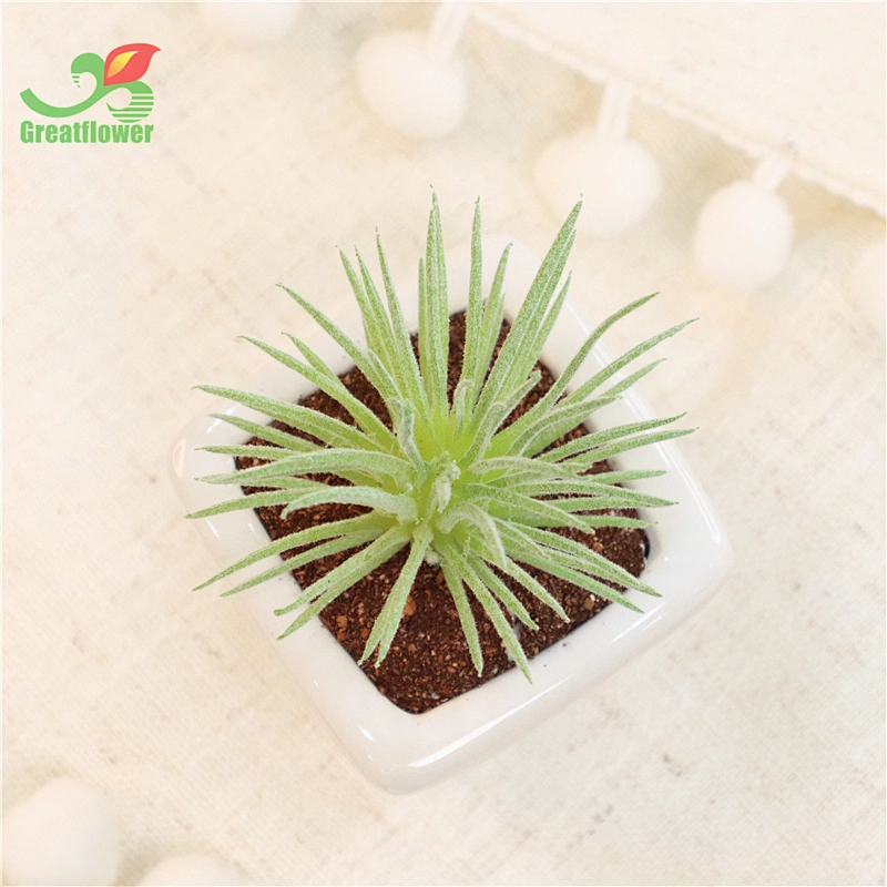 Succulent Potted Plants Faux Greenery Creative Ornaments for Garden Office Decor &Greenery
