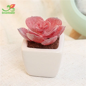 Succulent Potted Plants Faux Greenery Creative Ornaments for Garden Office Decor &Greenery