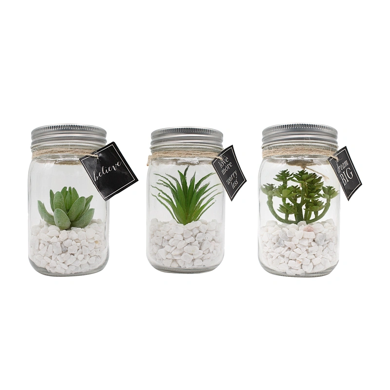Glass Jar Mini Artificial Plants With Special Rope Design White Rocks