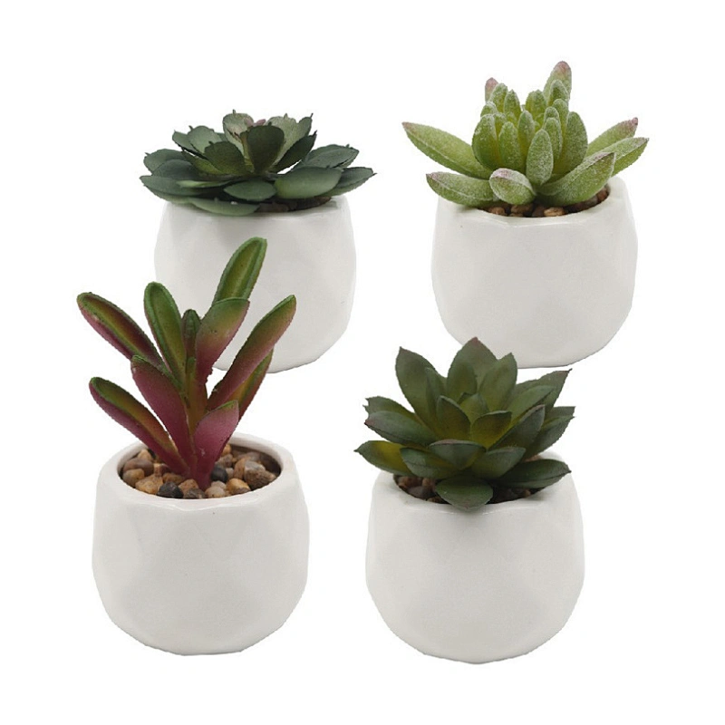 Indoor Custom Ceramic Pot Faux Succulents White Ceramic Pots for Desk, Office, Home Decoration