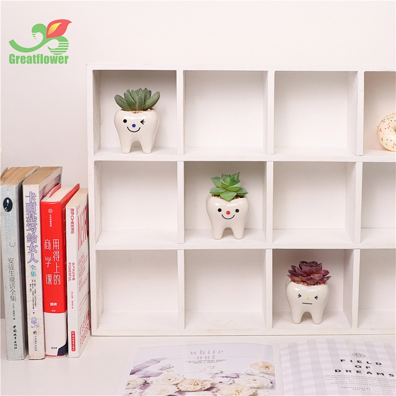 3 Pack Ceramic Tooth Pot Plant Artificial Flocking Succulent Cute Mini Gift