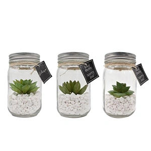 Glass Jar Mini Artificial Plants With Special Rope Design White Rocks
