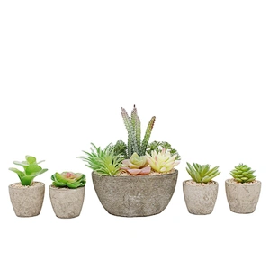 5pcs Set Pulp Potted Artificial Succulents Mini Bonsai House Decor